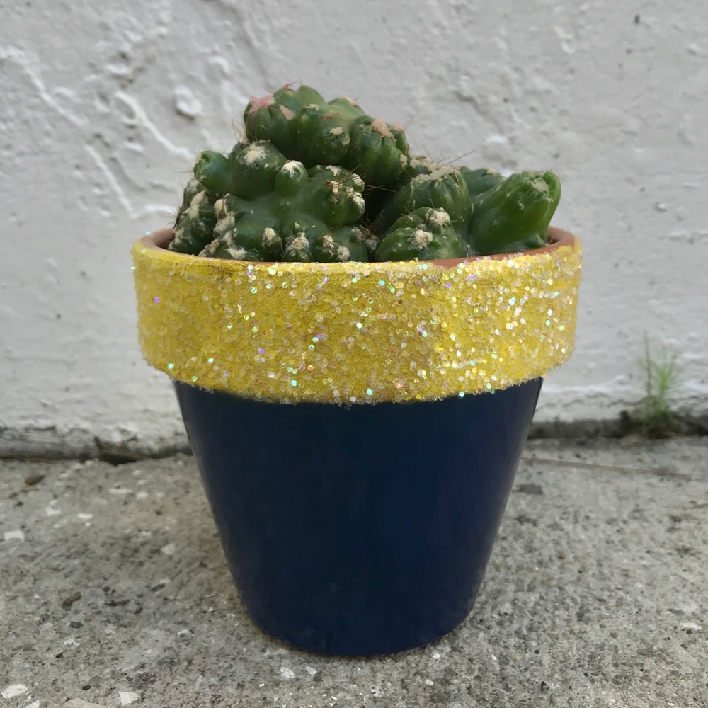 Hand painted pot